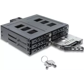Delock 5,25 inch wisselraam voor 6 x 2,5 inch SATA of SAS HDD / SSD met slot
