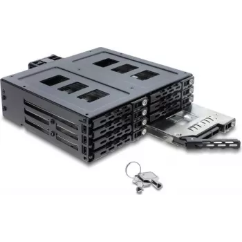 Delock 5,25 inch wisselraam voor 8 x 2,5 inch SATA of SAS HDD / SSD met slot