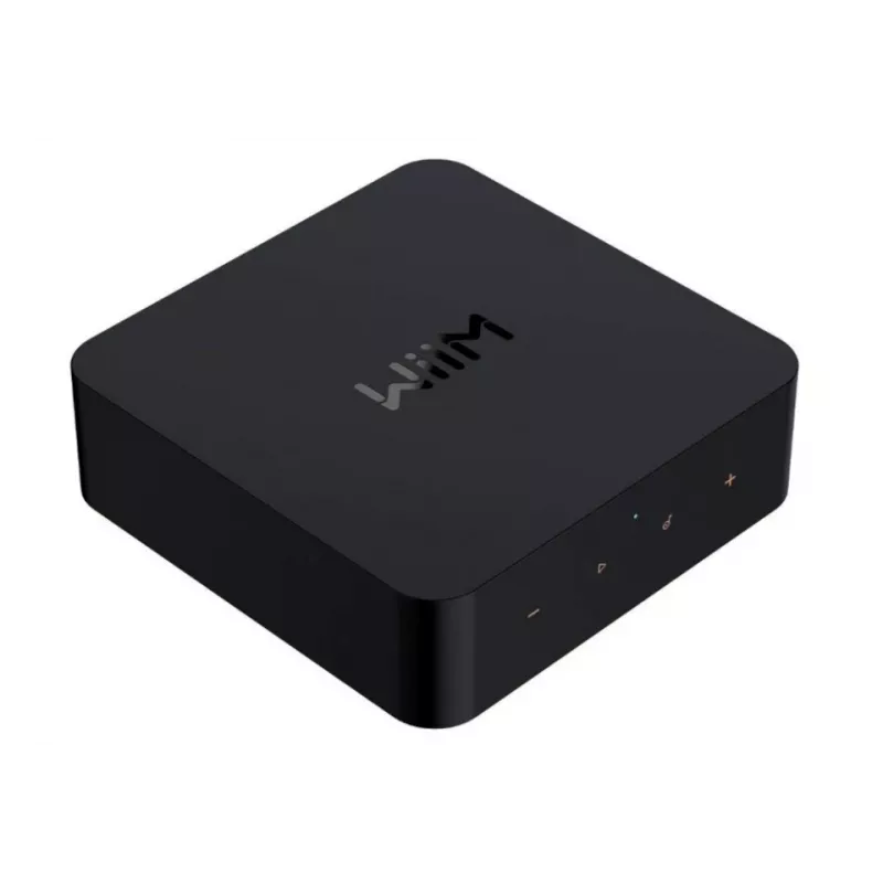 WiiM Pro netwerk-speler - AirPlay 2, Chromecast, multiroom-streamer