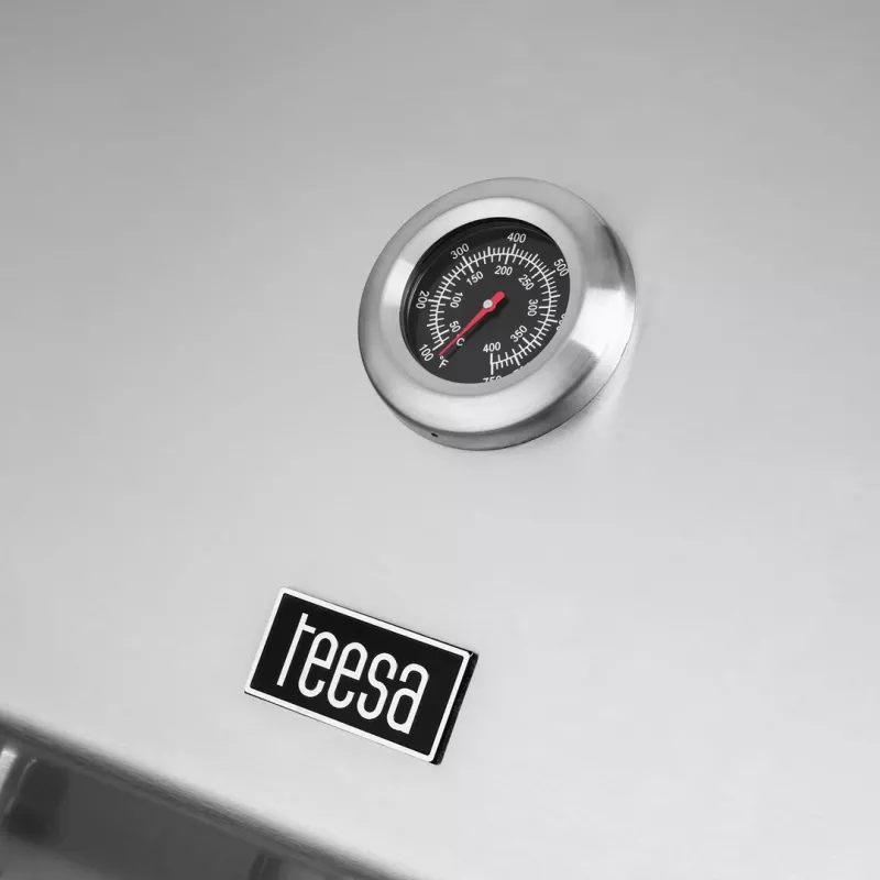 TEESA gasbarbecue BBQ 5007 Master 5 branders TSA0251