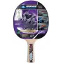 Donic Schildkröt Legends 800 tafeltennisbat roze, hout