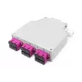 DIGITUS Glasvezel DIN-rail distributiebox, MM OM4, voorgemonteerd, met SC-adapter en pigtail