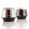Evelatus ESP01 Bluetooth-luidspreker zilver