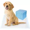 iLike superabsorberende wegwerptrainingsmatjes voor honden en katten 20 st. lekvrij 60x90 cm