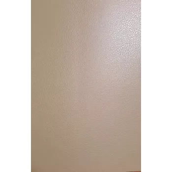 Evelatus Universele Lederfolie voor Snijplotter Beige