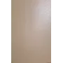 Evelatus Universele Lederfolie voor Snijplotter Beige