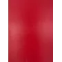 Evelatus Universal Classic Cowhide A3-film voor snijplotter rood
