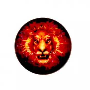 iLike Universele Pop Holder Fire Lion