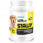 EWE EUROWET Wita-Vet Joints - voedingssupplement voor honden - 30 tabletten