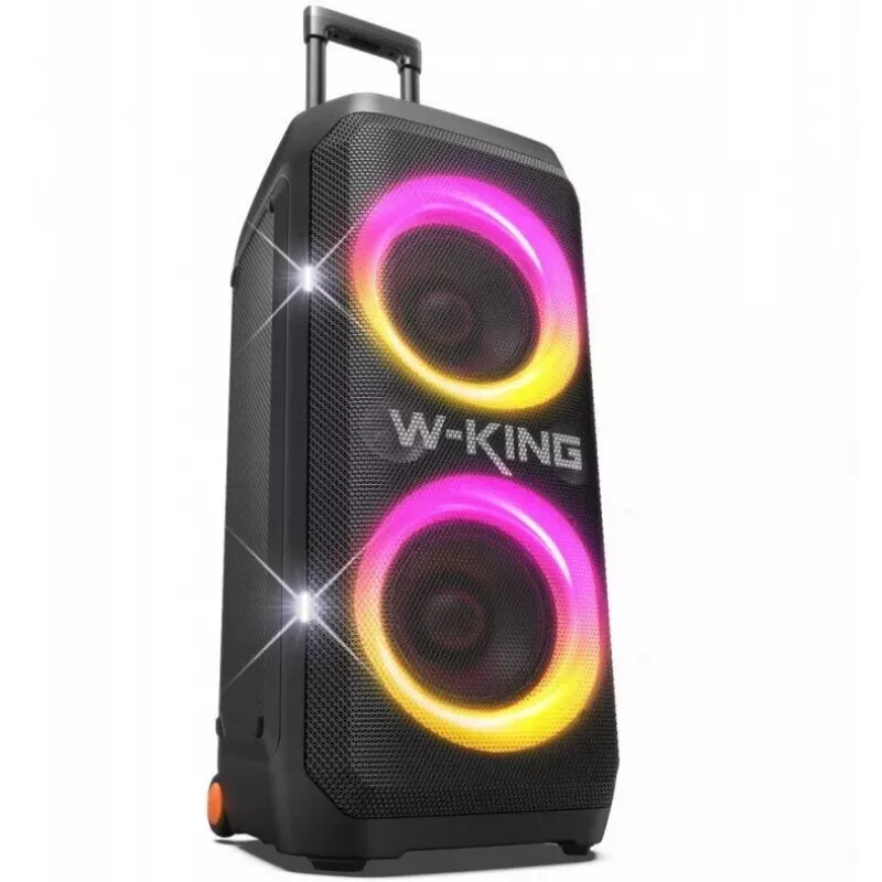 W-KING T12 draadloze Bluetooth-luidspreker – zwart