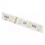SYNERGY21 LED-flexstrip 2835 - 60 WW pixel DC24V WS2811 IP20