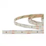 SYNERGY21 LED-flexstrip 2835 - 60 NW pixel DC24V WS2811 IP20