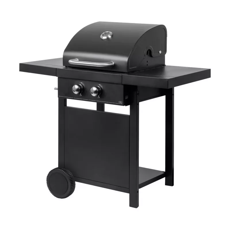 MASTER GRILL 2-brands gasbarbecue MG669