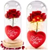 LEAN Eeuwige roos in stolp met LED-verlichting rood met hart 18,5x8 cm