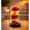 LEAN Eeuwige 2 rozen in stolp met LED-verlichting en rozenblaadjes rood 21x11cm