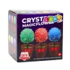 LEAN TOYS kristal laten groeien magische kristalboom educatief experiment
