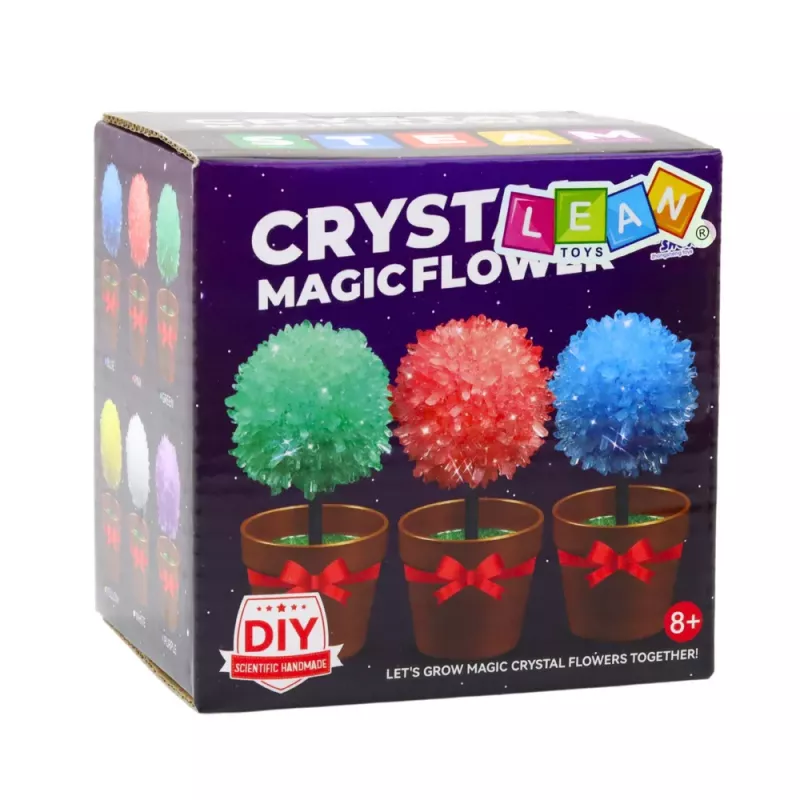 LEAN TOYS kristal laten groeien magische kristalboom educatief experiment