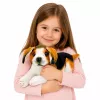 LEAN TOYS Pluche beagle hond, knuffeldier, zachte hond, 25 cm