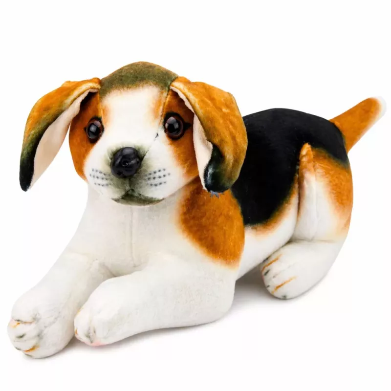 LEAN TOYS Pluche beagle hond, knuffeldier, zachte hond, 25 cm