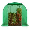 LEAN Kas voor groenten, groene UV-ramen, 3,5x2x2 m, 7 m²