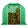 LEAN Folietunnel tuinkas voor groenten PRO frame 25 mm 8 x 3 x 2 m 24 m²