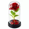 LEAN Eeuwige Roos in Glazen Bol LED Verlichting Rood 21,5 x 11 cm