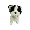 LEAN TOYS Hond aan de lijn Interactieve husky-hond