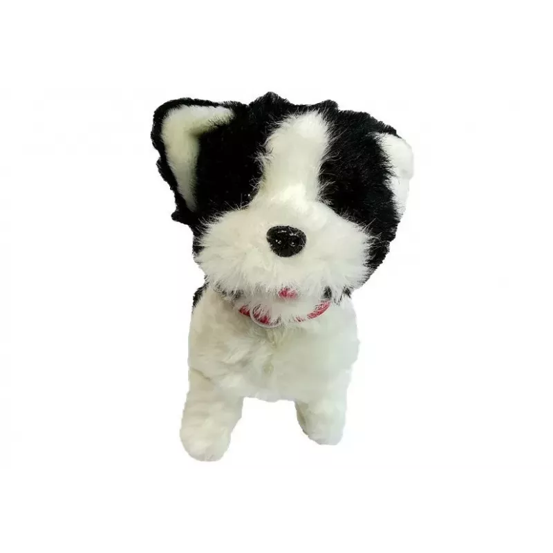 LEAN TOYS Hond aan de lijn Interactieve husky-hond