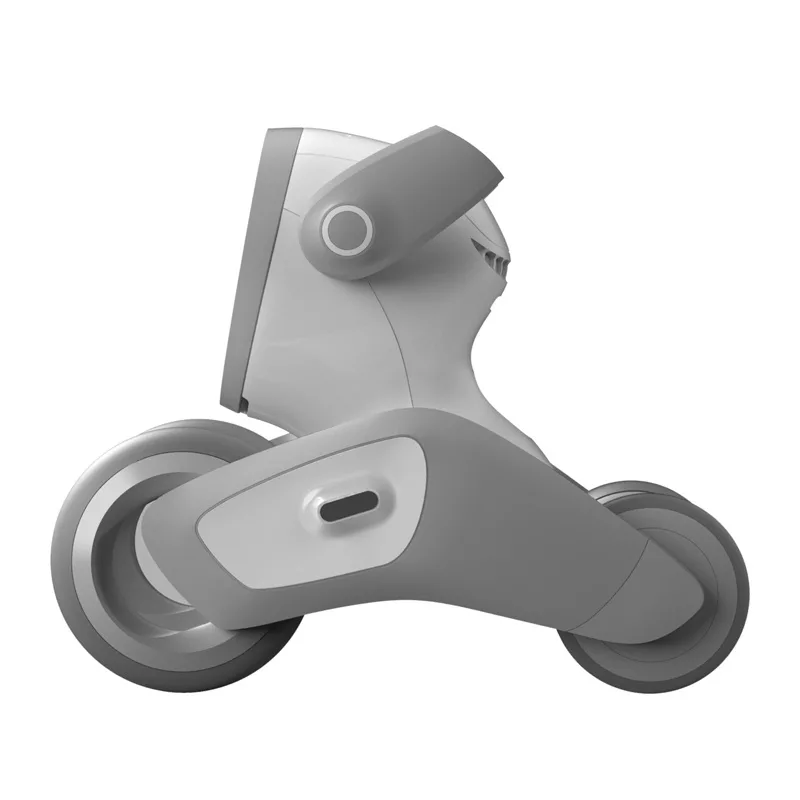 Loona Premium interactieve robot