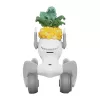 Gebreid kostuum voor Loona Premium Pineapple