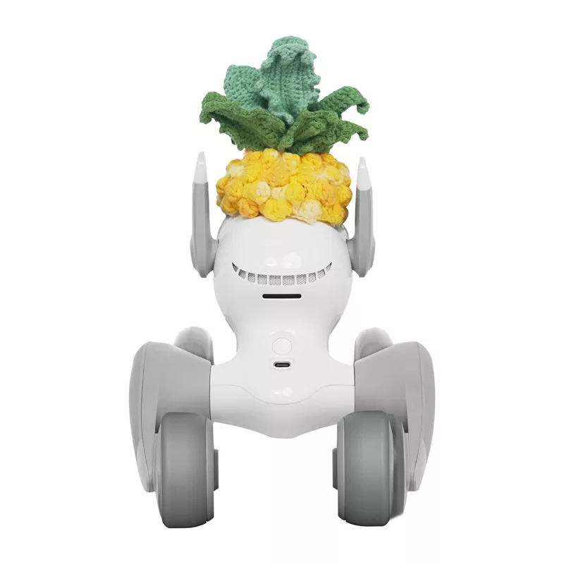 Gebreid kostuum voor Loona Premium Pineapple