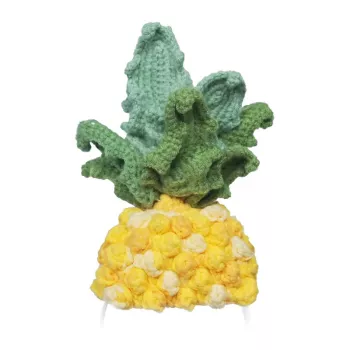 Gebreid kostuum voor Loona Premium Pineapple