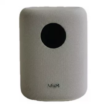 WiiM LPWISNDW Sound smart speaker, wit