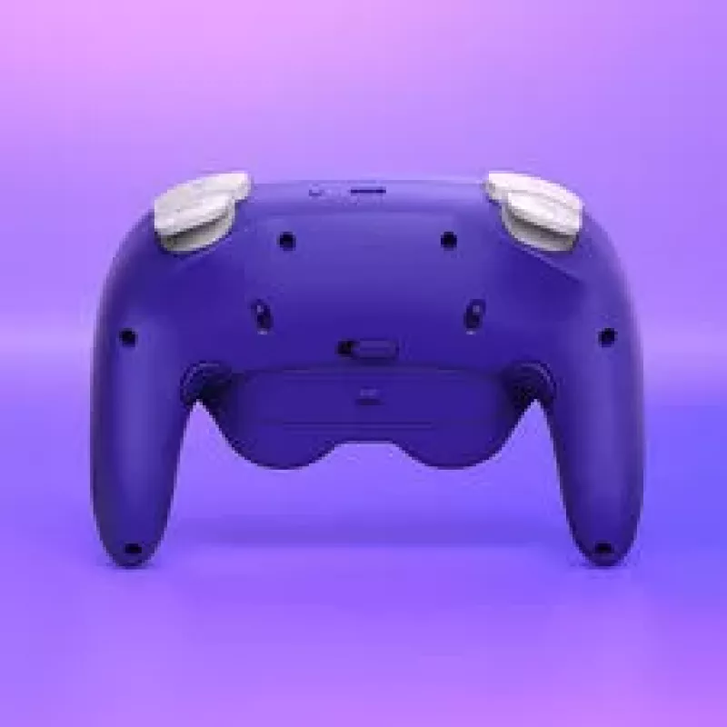 NYXI Warrior Switch 1 & 2 controller - paars