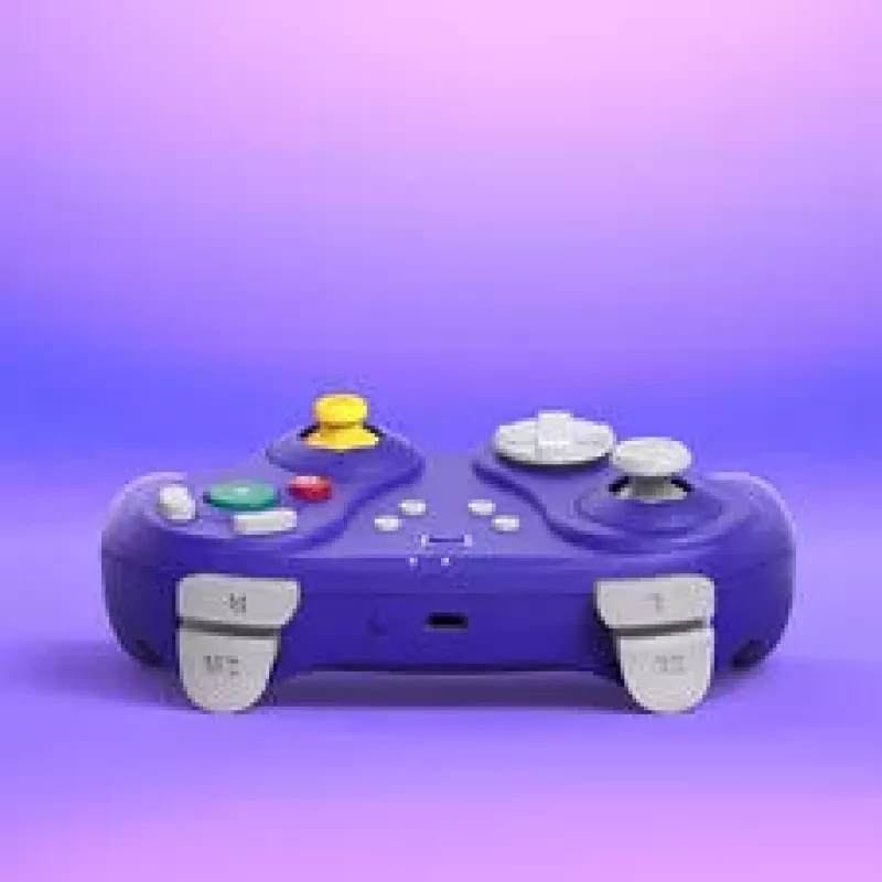 NYXI Warrior Switch 1 & 2 controller - paars