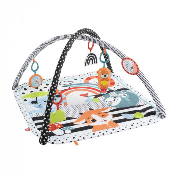 Mattel Baby-activiteitsgym met speelboog, lichtjes & muziek, speelmat/boog (HBP41)