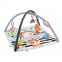 Mattel Baby-activiteitsgym met speelboog, lichtjes & muziek, speelmat/boog (HBP41)