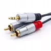Audiokabel Qoltec 52340 2m 2xRCA 3,5mm zwart