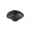 Natec Genesis Blackbird 2 muis RF draadloos optisch 1600 DPI