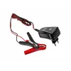 Acculader universeel AC Green Cell ACAGM06 verzegeld loodzuur
