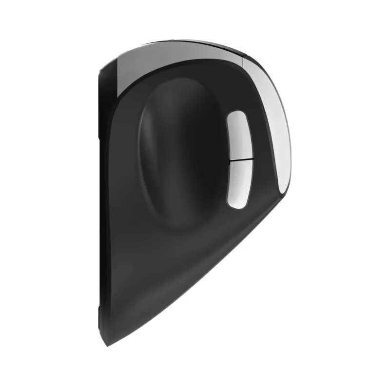 Rapoo EV250 muis kantoor rechtshandig RF draadloos optisch 1600 DPI