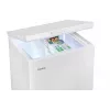 Vriezer Amica GT 311 105 W