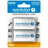 Oplaadbare batterij everActive EVHRL20-10000 D NiMH 1,2 V 2 stuks