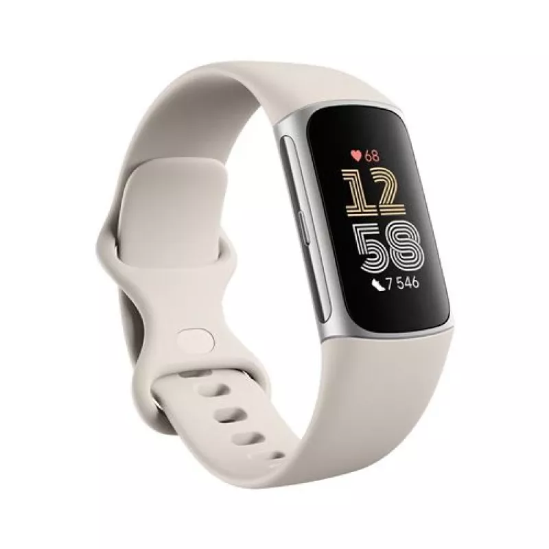 Fitbit GA05185-EU Product zilver