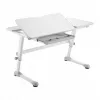 Ergo Office kinderbureau ergonomisch in hoogte verstelbaar, grijs, max. 100 kg, ER-417 2cz