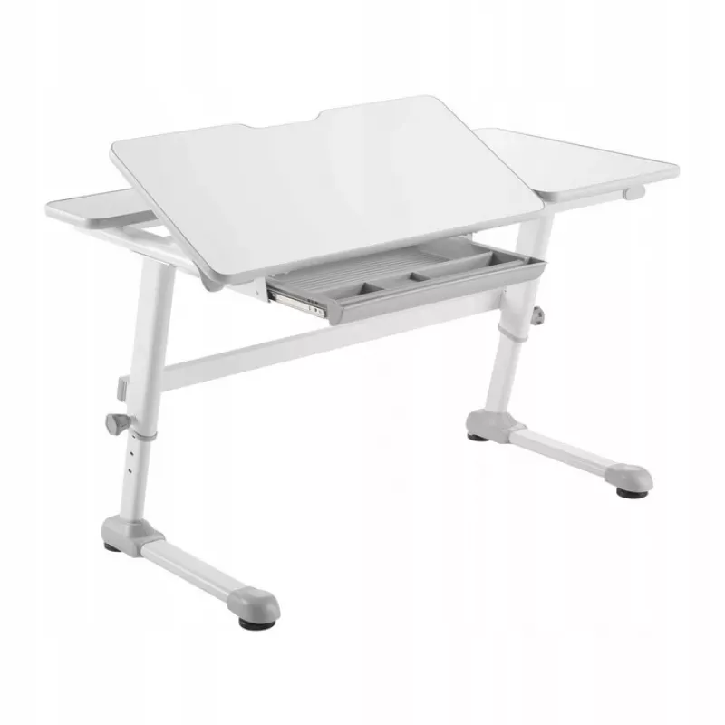 Ergo Office kinderbureau ergonomisch in hoogte verstelbaar, grijs, max. 100 kg, ER-417 2cz
