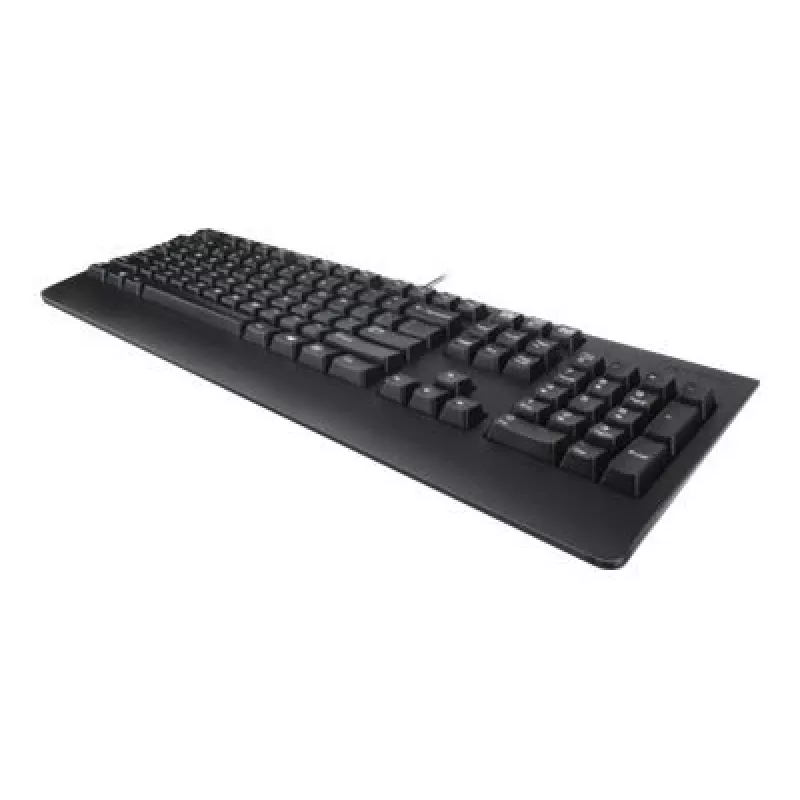 Lenovo 4X30M86918 toetsenbord Office USB QWERTY US Engels zwart