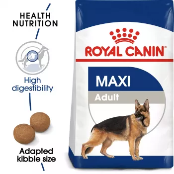 Droogvoeding voor honden Royal Canin SHN Maxi Adult 4 kg – volledig voer met gevogelte voor grote rassen (25–45 kg), 26% eiwit
