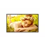 LG 32UL5Q-M 32" 4K UHD Digital Signage-display