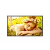 LG 32UL5Q-M 32" 4K UHD Digital Signage-display